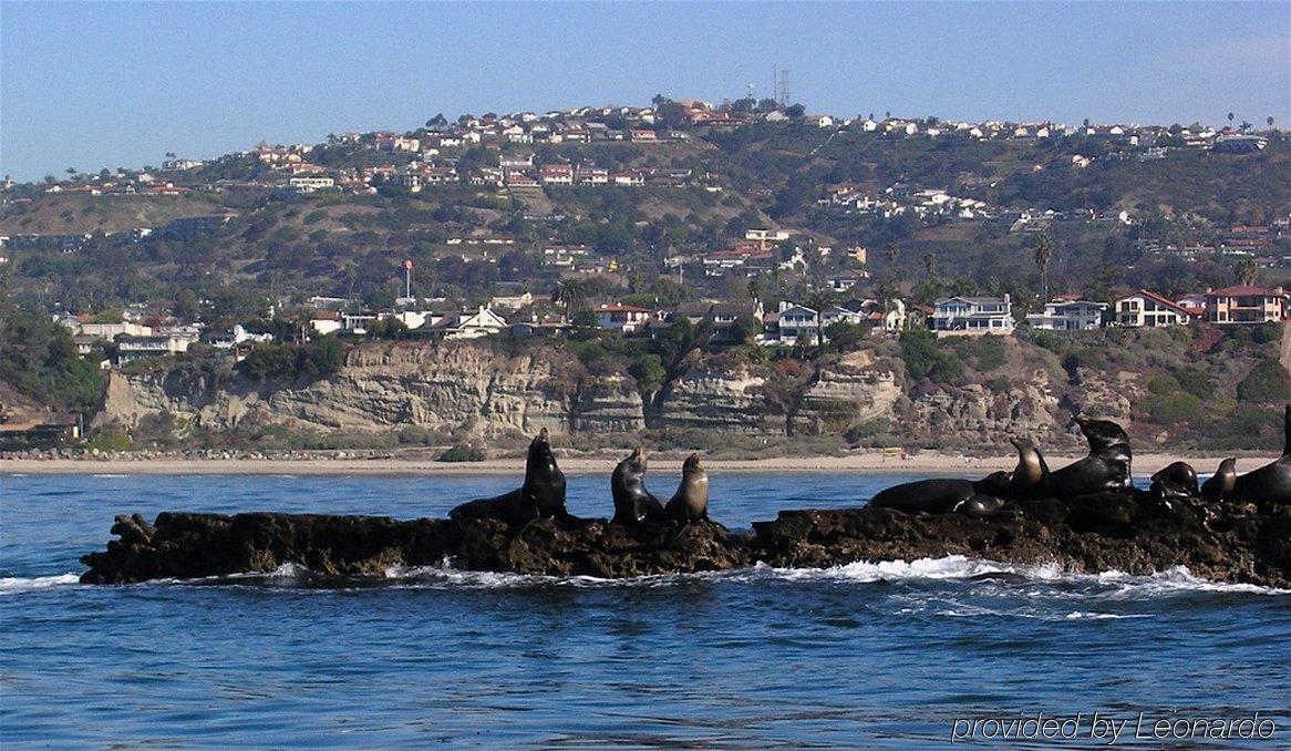 Holiday Inn Express San Clemente N - Beach Area By Ihg Zewnętrze zdjęcie